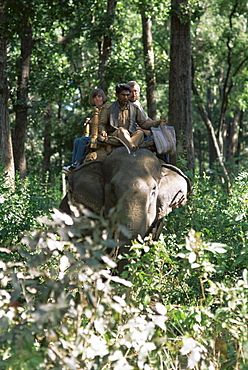 Tourists on elephant back, Kanha National Park, Madhya Pradesh state, India, Asia