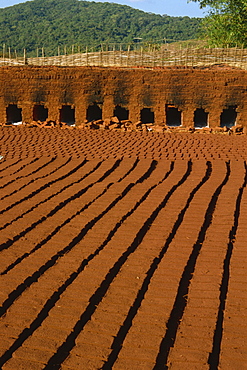 Lines of bricks drying in the sun, ready for firing, Orissa state, India, Asia