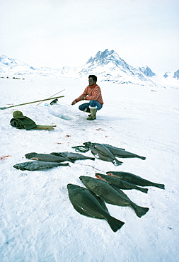 Inuit man fishing for halibut, Greenland, Polar Regions