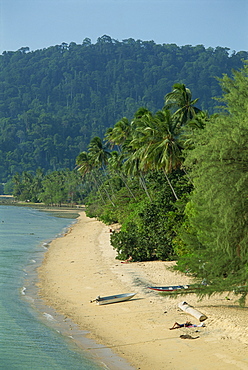 Nazris beach, palm trees and rain forest at Air Batang Bay, Pulau Tioman, in the Pahang Marine Park at Pahang, Malaysia, Southeast Asia, Asia