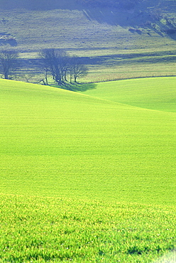 The South Downs near Wilmington, East Sussex, England, UK, Europe