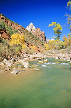 Mount Moroni and the Virgin River in autumn, Zion National Park, Utah, USA