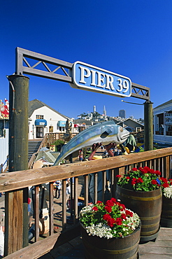 Sign for Pier 39, Fisherman's Wharf, with Coit Tower and Transamerica Pyramid on city skyline in the background, San Francisco, California, United States of America, North America