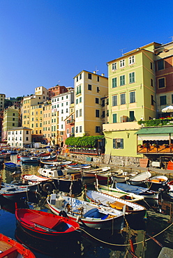 Camogli, Portofino Peninsula, Liguria, Italy, Europe