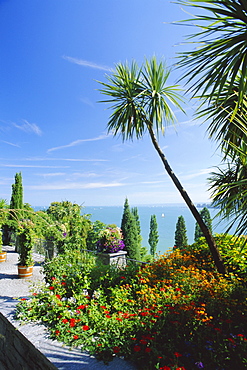 Tropical gardens, Mainau Island, Lake Constance, Baden-Wurttemberg, Germany, Europe