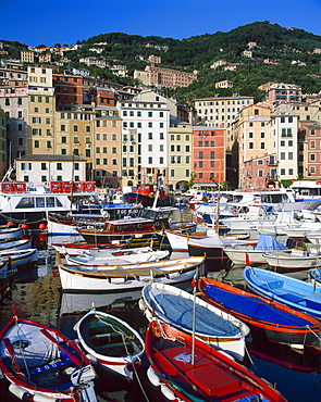 The Harbour, Camogli, Portofino Peninsula, Liguria, Italy 