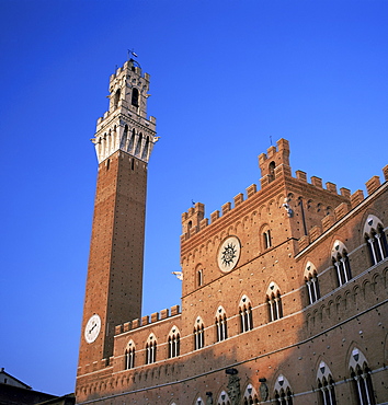 The Torre del Mangia and Palazzo Pubblico, Siena, Tuscany, Italy, Europe