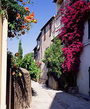 Brightly coloured flowers in village street, Grimaud, Var, Cote d'Azur, Provence, France, Europe