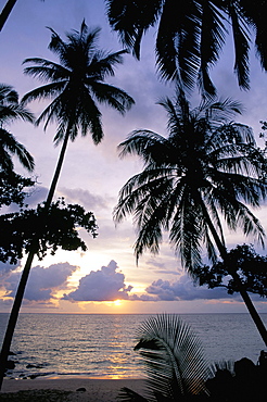 Sunset framed by palms, Patong, Phuket, Thailand, Southeast Asia, Aisa