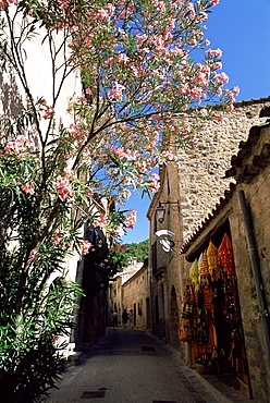 Flower filled village street, St. Guilhem-le-Desert, Herault, Languedoc-Roussillon, France, Europe