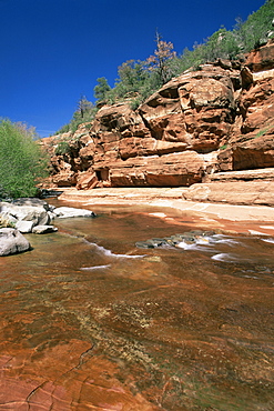 Red rocks towering above the shallow waters of Oak Creek, Slide Rock State Park, Sedona, Arizona, United States of America (U.S.A.), North America