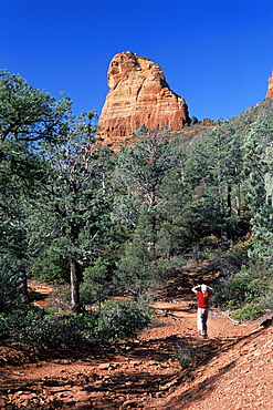 Birdwatcher on path, and red rock cliff towering above the Brins Mesa Trail. Sedona, Arizona, United States of America (U.S.A.), North America