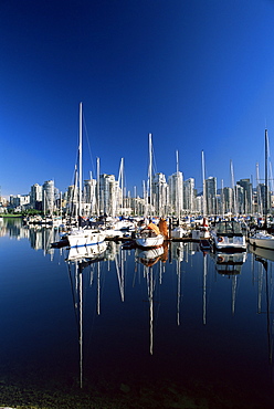 Yachts moored in False Creek marina, with downtown skyscrapers behind, Vancouver, British Columbia (B.C.), Canada, North America