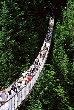 The Capilano Suspension Bridge, Vancouver, British Columbia (B.C.), Canada, North America