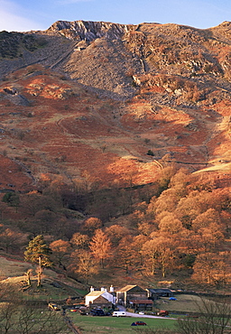 Farm and Lingmoor Fell at sunrise, Great Langdale, Lake District National Park, Cumbria, England, United Kingdom (U.K.), Europe