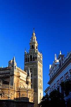 The Giralda in the early morning, Seville, Andalucia (Andalusia), Spain, Europe