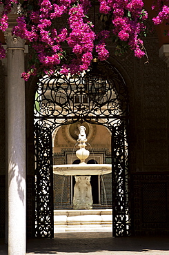 View through wrought iron gateway to the Patio Principal, and bougainvillea, Casa de Pilatos, Seville, Andalucia (Andalusia), Spain, Europe