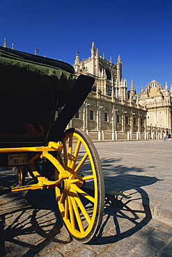 Horse-drawn carriage in Plaza del Triunfo in front of the cathedral, Seville, Andalucia (Andalusia), Spain, Europe