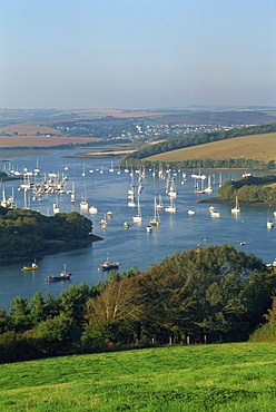 View over the Kingsbridge Estuary from East Portlemouth, Salcombe, Devon, England, United Kingdom, Europe