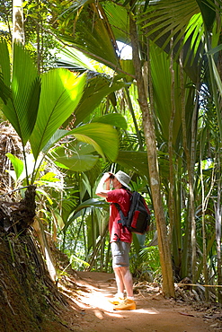 Birdwatcher on trail in the Vallee de Mai Nature Reserve, UNESCO World Heritage Site, Baie Sainte Anne district, Island of Praslin, Seychelles, Africa