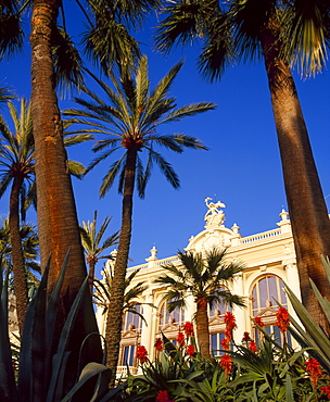 Palm trees and flowers in front of the casino at Monte Carlo, Monaco 