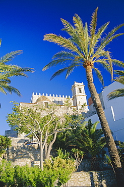 Church framed by palm trees, Peniscola, Costa del Alzahar, Valencia, Spain, Europe