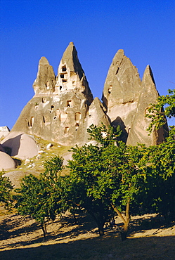 Pigeon cotes cut in volcanic rock, apricot trees in foreground, Uchisar, Cappadocia, Turkey, Eurasia