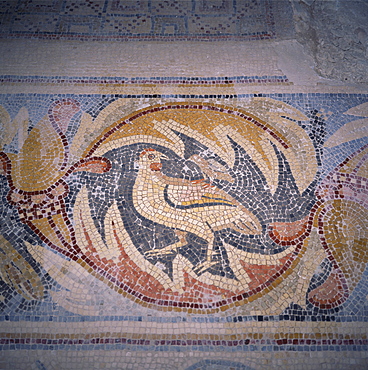 Close-up of mosaic dating from the 6th century AD, Apostles Church, Madaba, Jordan, Middle East