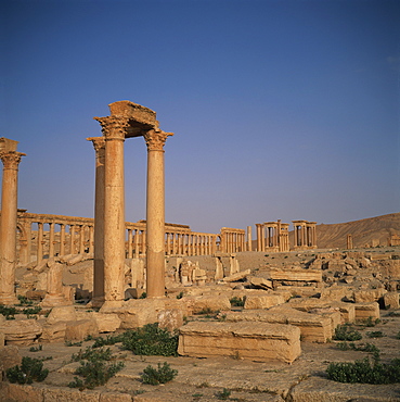 The Roman Baths of Diocletian dating from the 3rd century AD, and the columned main street dating from the 1st century AD, at the ancient Graeco-Roman city of Palmyra, UNESCO World Heritage Site, Syria, Middle East