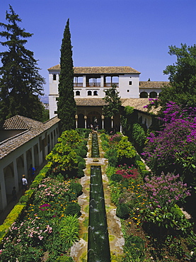 Gardens of the Generalife, the Alhambra, Granada, Andalucia (Andalusia), Spain, Europe