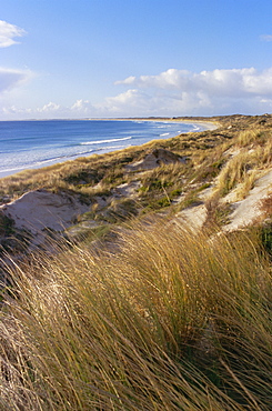 Northern beach, Chatham Islands, Pacific islands, Pacific