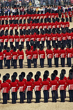 London Guards, London, England, United Kingdom, Europe