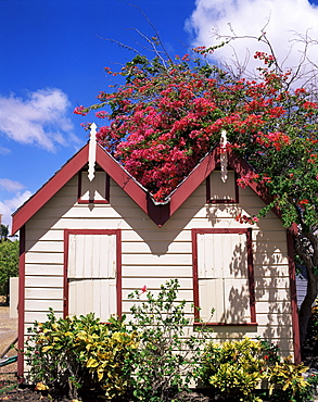 Chattel house, Barbados, West Indies, Caribbean, Central America