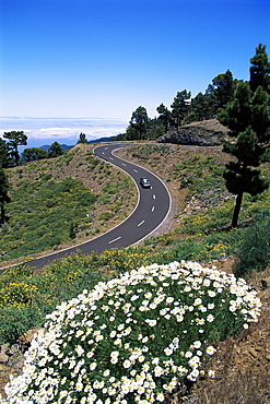 Road near Las Moradas, La Palma, Canary Islands, Spain, Europe