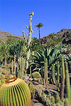 Palmitos Park near Maspalomas, Gran Canaria, Canary Islands, Spain