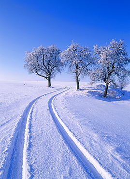 Landscape in winter 