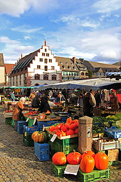 Market at Minster Square (Munsterplatz), Freiburg, Baden-Wurttemberg, Germany, Europe