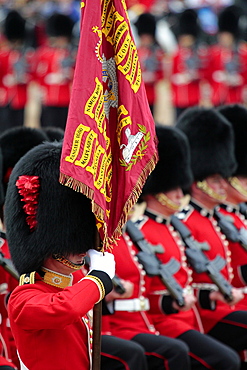 Soldiers at Trooping the Colour 2012, The Queen's Birthday Parade, Horse Guards, Whitehall, London, England, United Kingdom, Europe