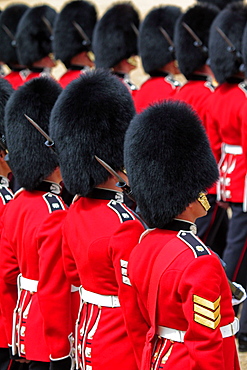 Soldiers at Trooping the Colour 2012, The Queen's Official Birthday Parade, Horse Guards, Whitehall, London, England, United Kingdom, Europe