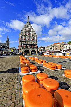 Cheese Market in Gouda, South Holland, Netherlands, Europe