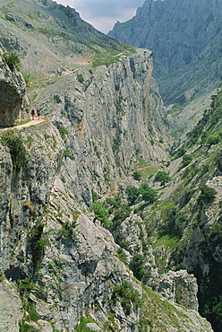 Walkers on a narrow mountain road above the Cares Gorge, 1000m deep, 12km limestone gorge, in the Picos de Europa mountains in Cantabria, Spain, Europe