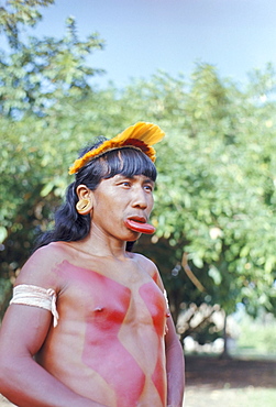 Suya Indian man with lip plate, Xingu, Brazil, South America (1971)