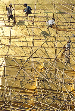 Workers on bamboo scaffolding applying fresh gold leaf to the Shwedagon Pagoda, Yangon (Rangoon), Myanmar (Burma), Asia