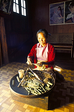 Local Intha cheroot-maker, Inle Lake, Myanmar (Burma), Asia