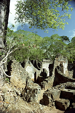 Gedi ruins, Malindi, Kenya, East Africa, Africa