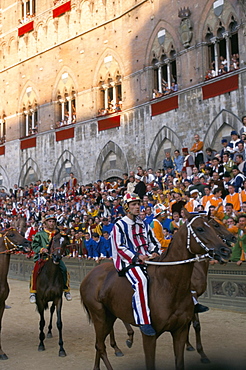 Horses waiting for start, Palio horse race, Siena, Tuscany, Italy, Europe