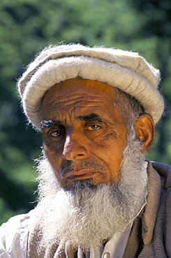 Portrait of a local farmer, near Kalam, Swat Valley, Pakistan, Asia