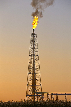 Oil burning off, Lake Mareotis, near Alexandria, Egypt, North Africa, Africa