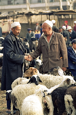 Two men bargaining in the sheep market, Sunday Market, Kashi, Xinjiang, China, Asia