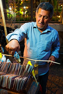 Fortune teller with blue budgie picking from alternative fortunes, Daraband, Northern Tehran, Iran, Middle East